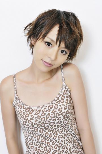 高清av网站在线