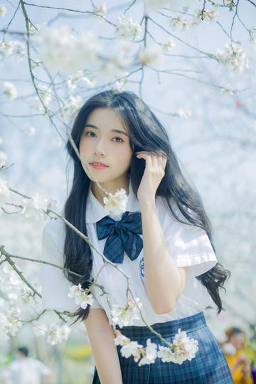 一一高清视频在线观看